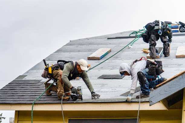 Professional Gutter Installation technician working in Blue Ridge, TX